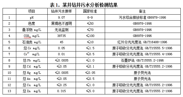 某井钻井污水分析检测结果